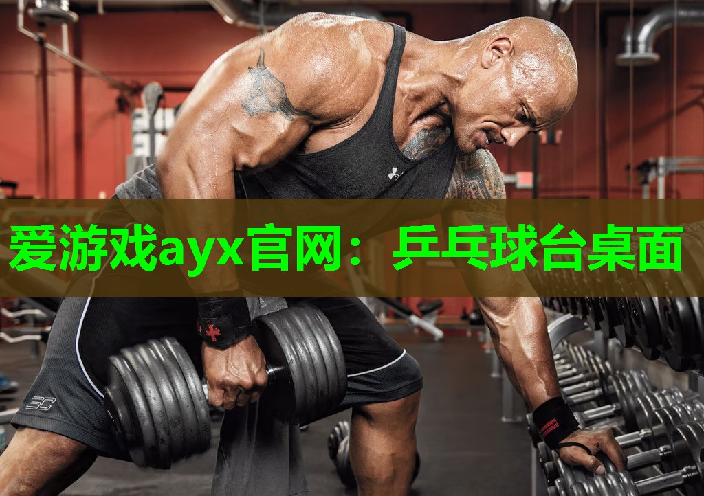 爱游戏ayx官网：乒乓球台桌面