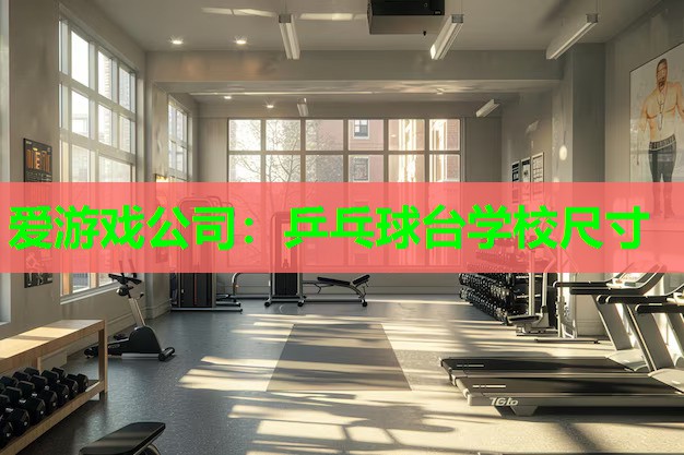 爱游戏公司：乒乓球台学校尺寸