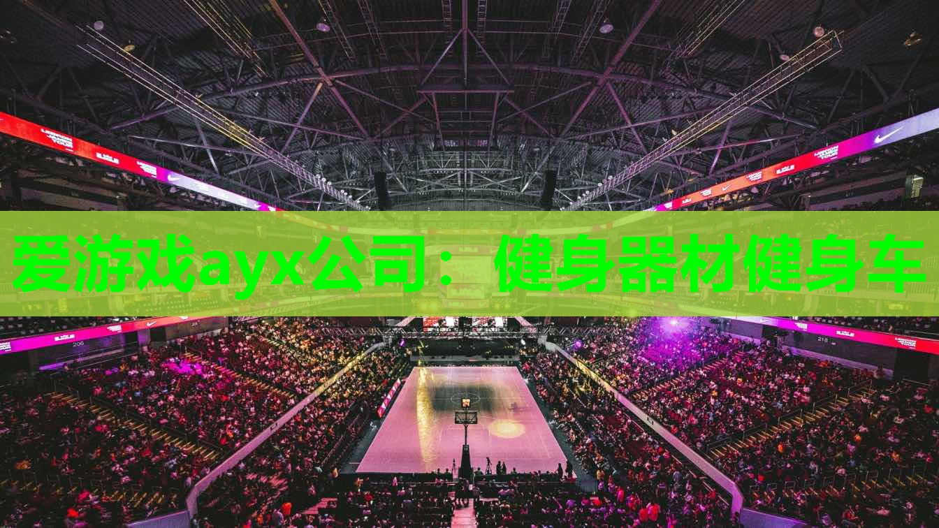 爱游戏ayx公司：健身器材健身车