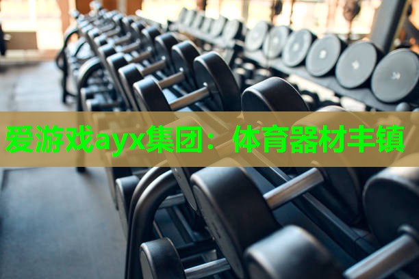 爱游戏ayx集团：体育器材丰镇