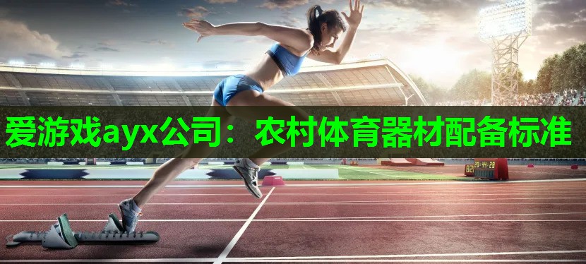 爱游戏ayx公司：农村体育器材配备标准