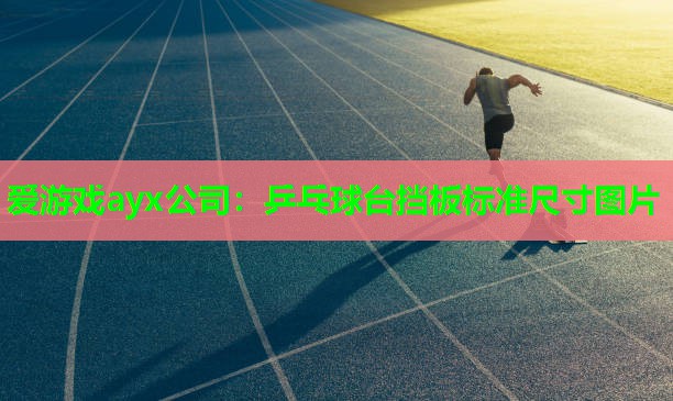 爱游戏ayx公司：乒乓球台挡板标准尺寸图片