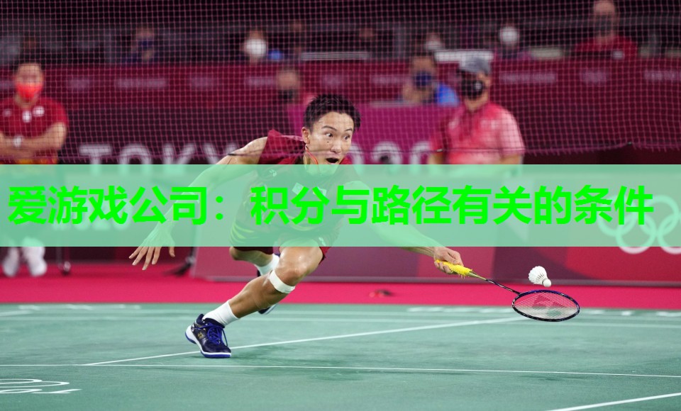 爱游戏公司：积分与路径有关的条件