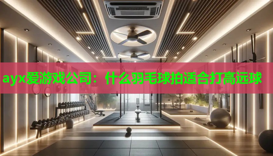 ayx爱游戏公司：什么羽毛球拍适合打高远球