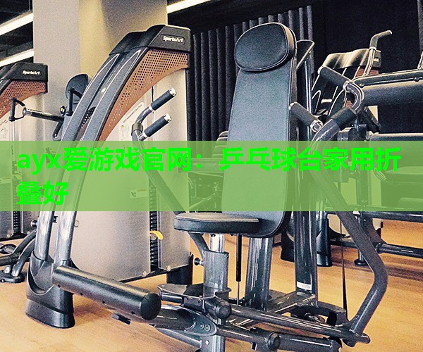 ayx爱游戏官网：乒乓球台家用折叠好