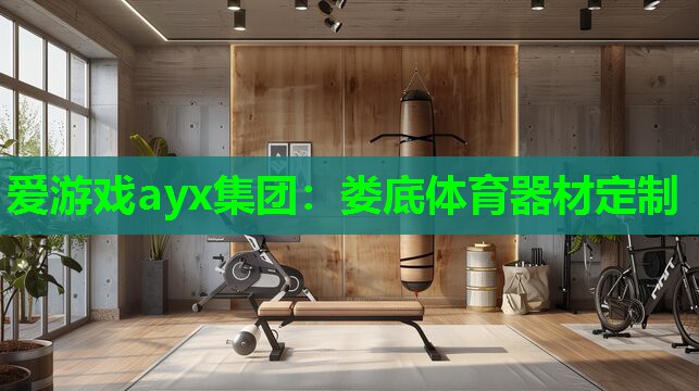 爱游戏ayx集团：娄底体育器材定制