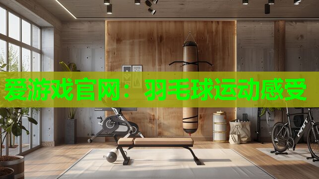 爱游戏官网：羽毛球运动感受