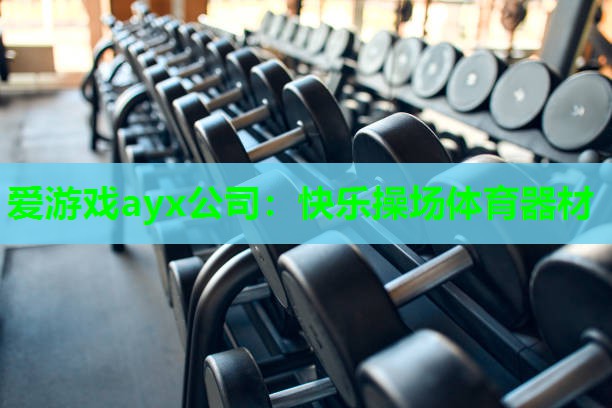爱游戏ayx公司：快乐操场体育器材