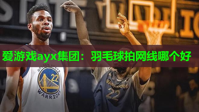 爱游戏ayx集团：羽毛球拍网线哪个好