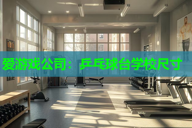 乒乓球台学校尺寸