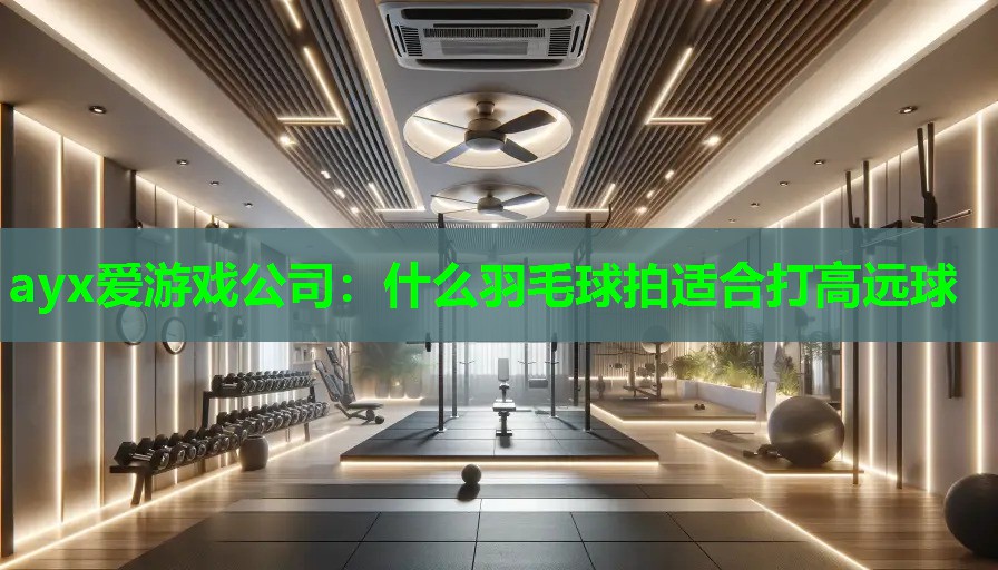 什么羽毛球拍适合打高远球