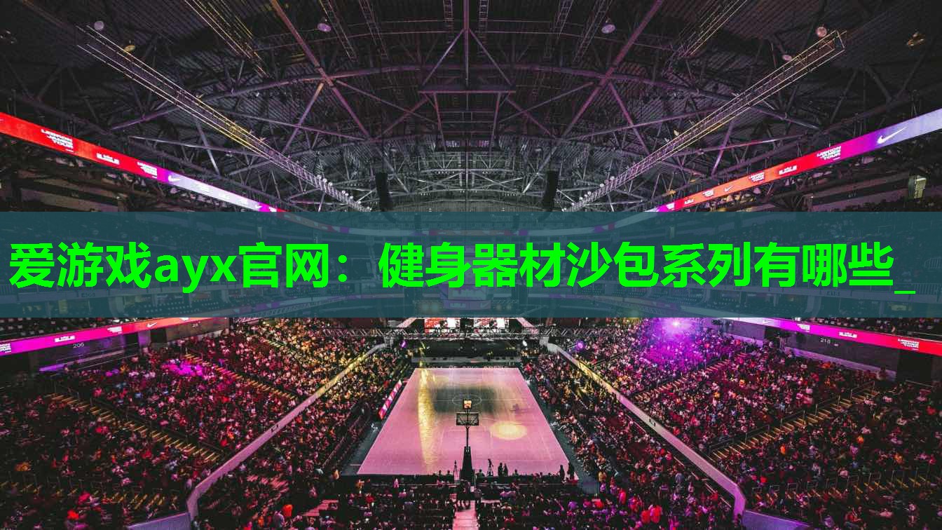 健身器材沙包系列有哪些_