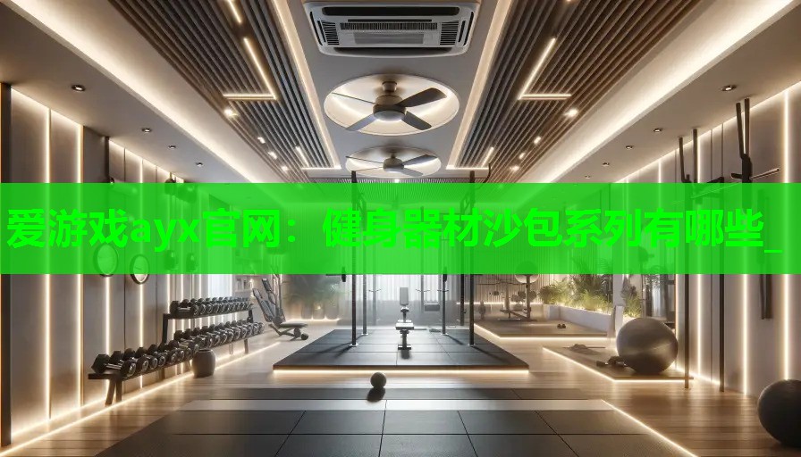 健身器材沙包系列有哪些_