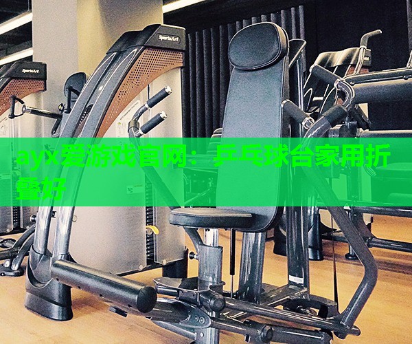 乒乓球台家用折叠好