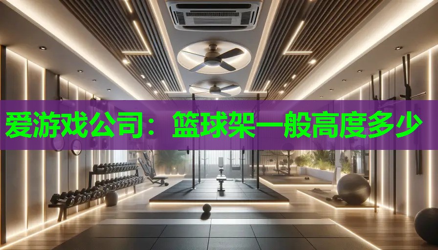 篮球架一般高度多少