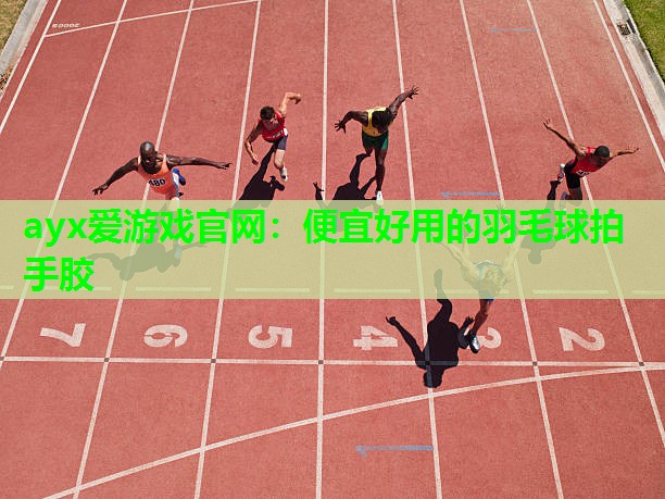 便宜好用的羽毛球拍手胶