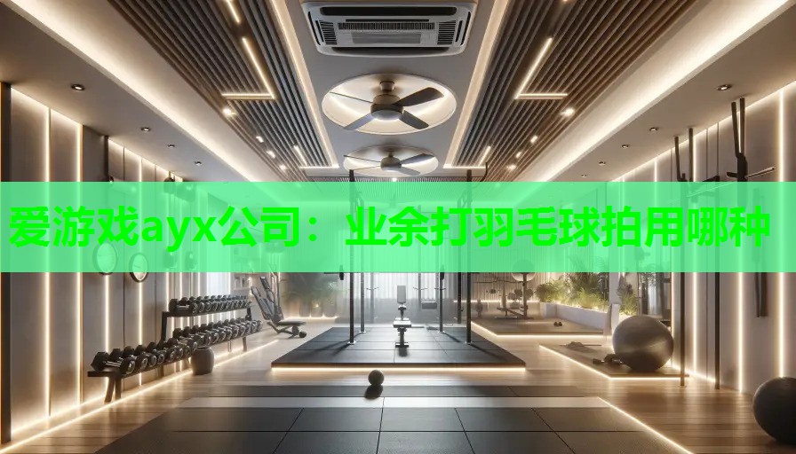 业余打羽毛球拍用哪种