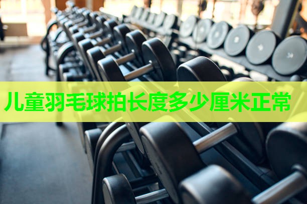 儿童羽毛球拍长度多少厘米正常