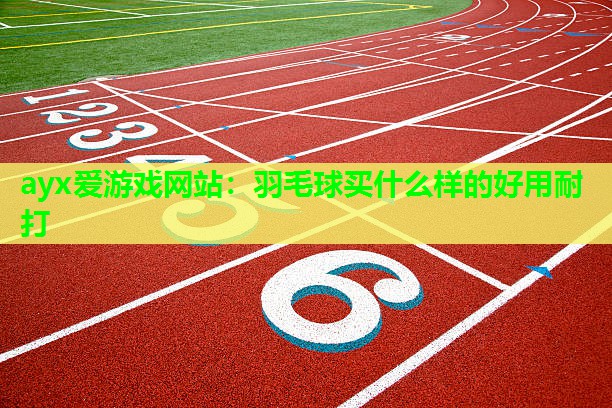 羽毛球买什么样的好用耐打