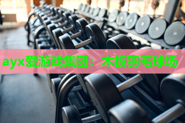 木板羽毛球场