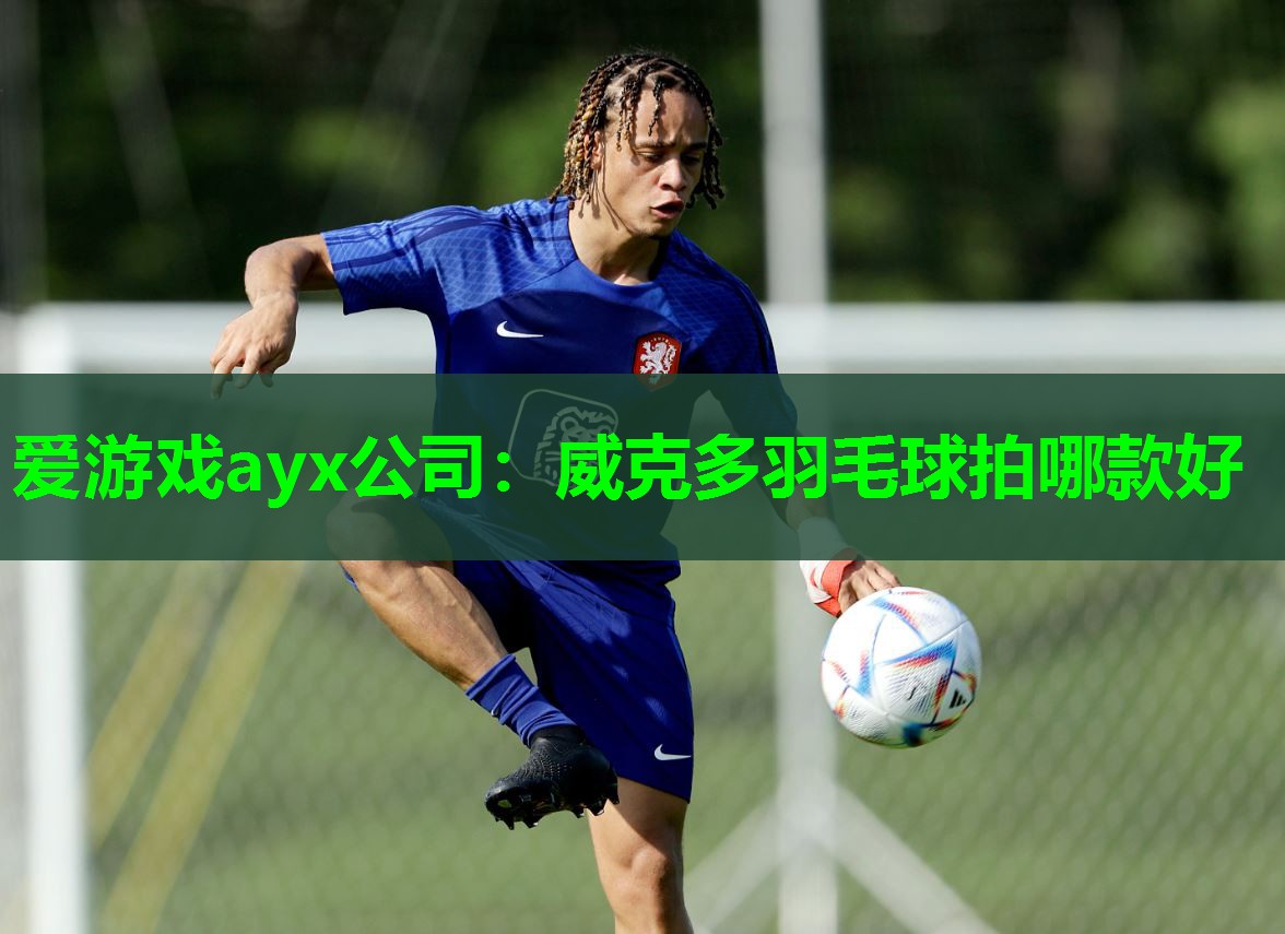 威克多羽毛球拍哪款好