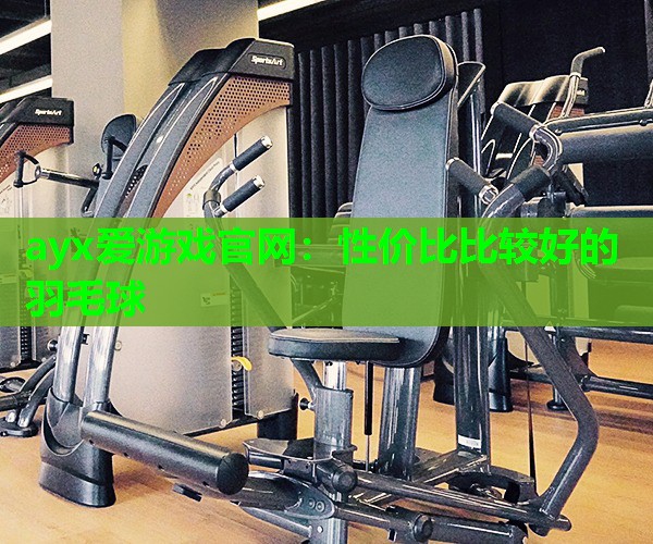 性价比比较好的羽毛球