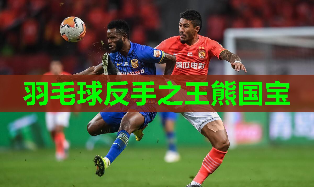 羽毛球反手之王熊国宝