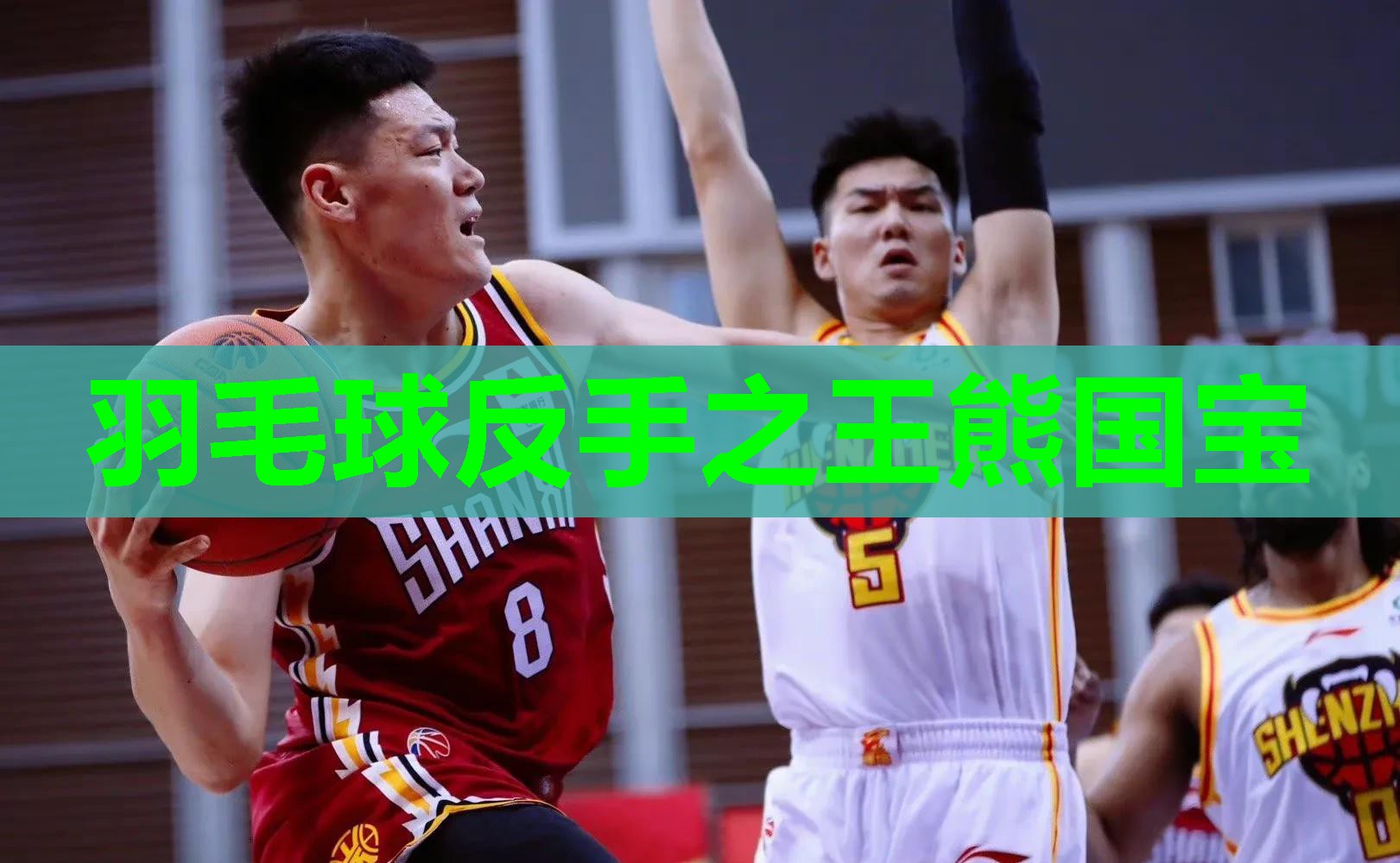 羽毛球反手之王熊国宝